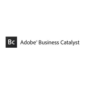 BusinessCatalyst