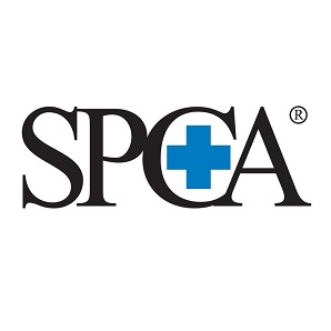 SPCA