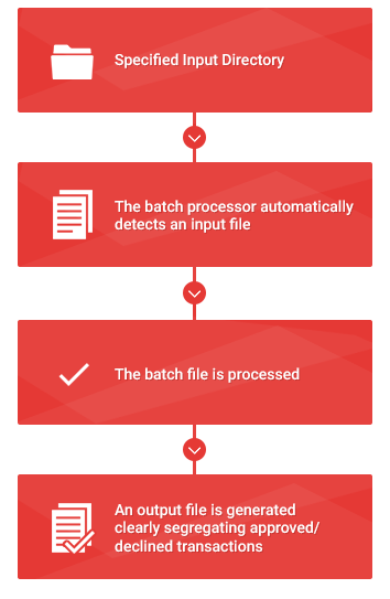 Batch Processor